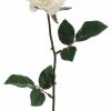 Artificial Florals & Plants * | 23 Single Medium Rose Spray X 1 Cream Box Of 12