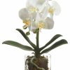 Artificial Florals & Plants * | 13 Phalaenopsis Orchid Plant In Glass Vase White