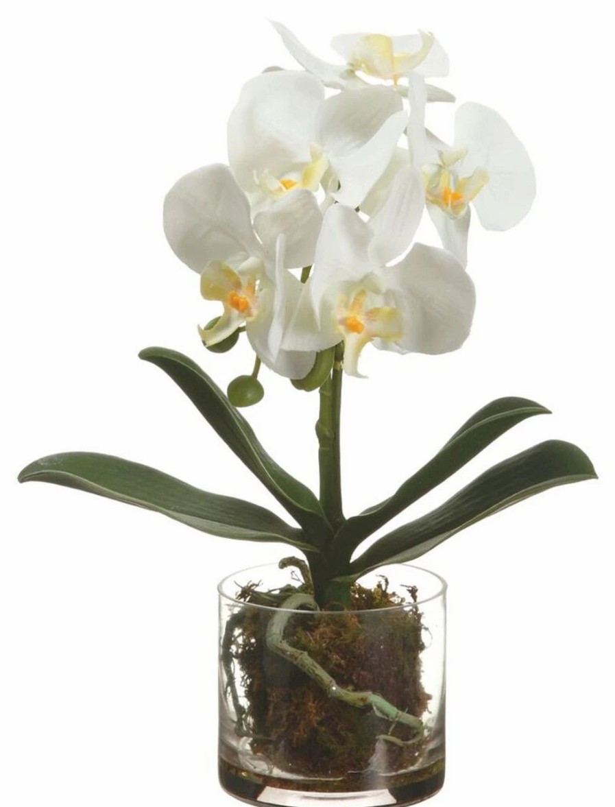 Artificial Florals & Plants * | 13 Phalaenopsis Orchid Plant In Glass Vase White