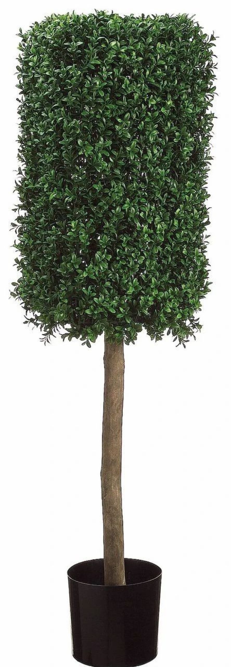 Artificial Florals & Plants * | 50 Rectangular Boxwood Topiary In Plastic Pot