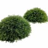 Artificial Florals & Plants * | Uv Resistant Cypress Urn Topper 22 Inch Set Of Two