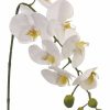 Artificial Florals & Plants * | 28.5 Phalaenopsis Orchid Spray White Box Of 12