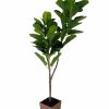 Artificial Florals & Plants * | Potted Artificial Fiddle Leaf Tree 4Ft