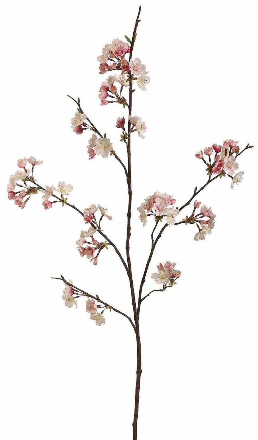 Artificial Florals & Plants * | 42 Cherry Blossom Spray Pink Cream Box Of 12