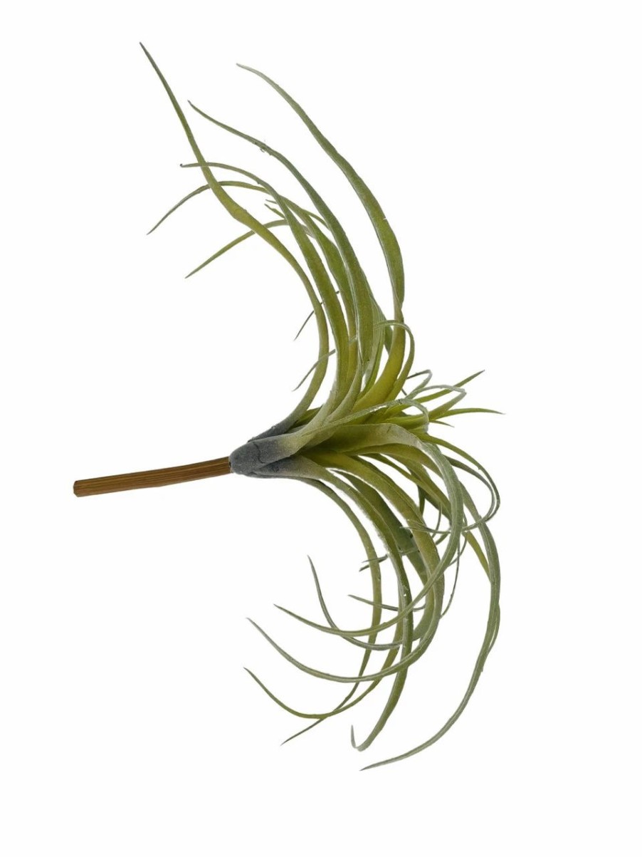 Artificial Florals & Plants * | Artificial Air Plant 10In Set Of Three Grey Green