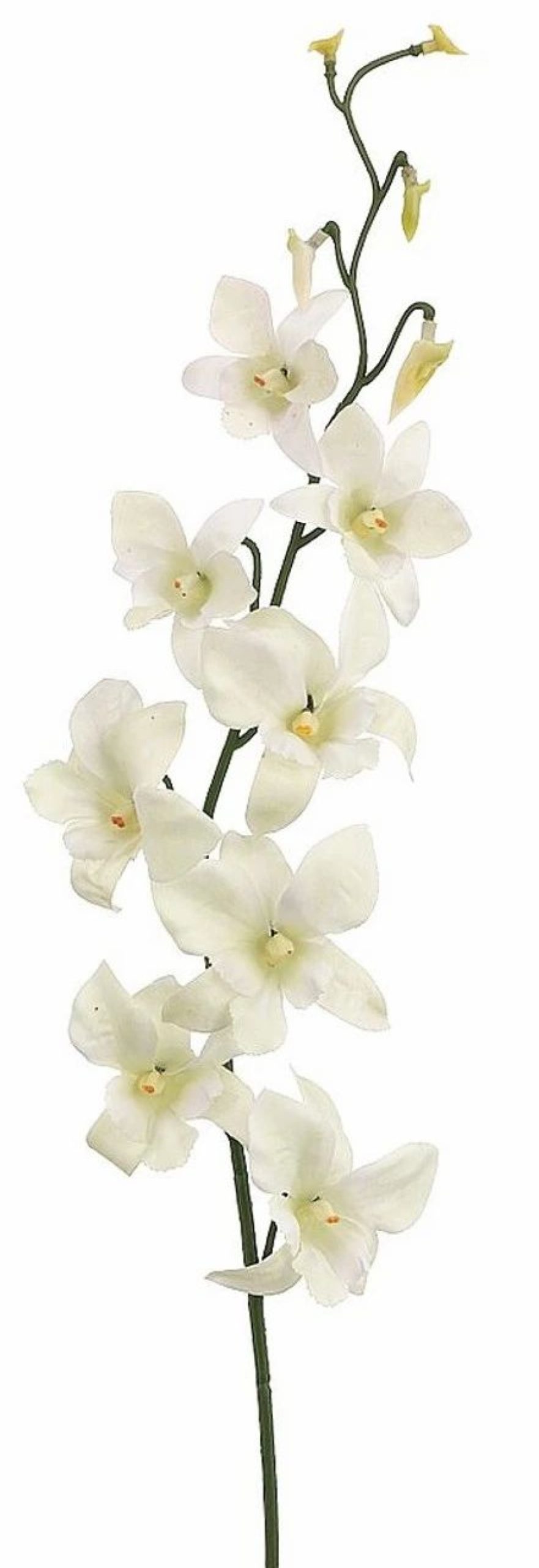 Artificial Florals & Plants * | 30 Dendrobium Orchid Spray X 1 Cream White Box Of 12