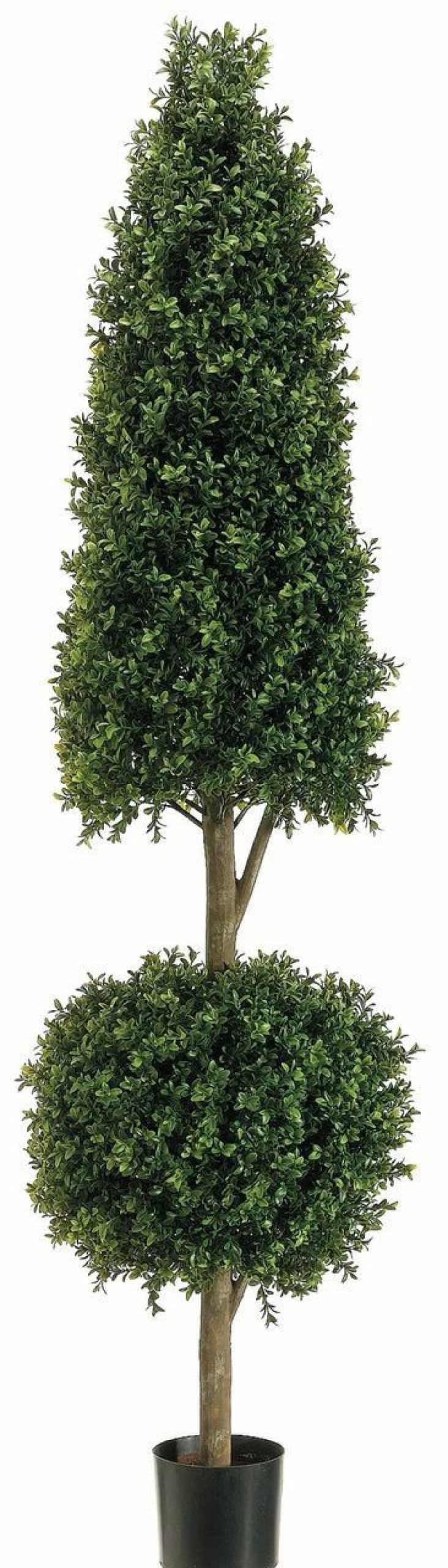 Artificial Florals & Plants * | 6Ft Cone-Ball Shape Boxwood Topiary In Plastic Pot