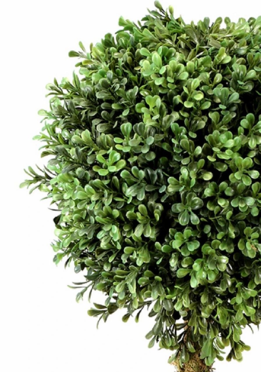 Artificial Florals & Plants * | Boxwood Wreath Double Ball Topiary In Urn 54