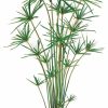 Artificial Florals & Plants * | 6Ft Cypress Grass Tree In Plastic Pot