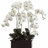 Artificial Florals & Plants * | 42 Phalaenopsis Orchid Planter In Terra Cotta Pot White Green