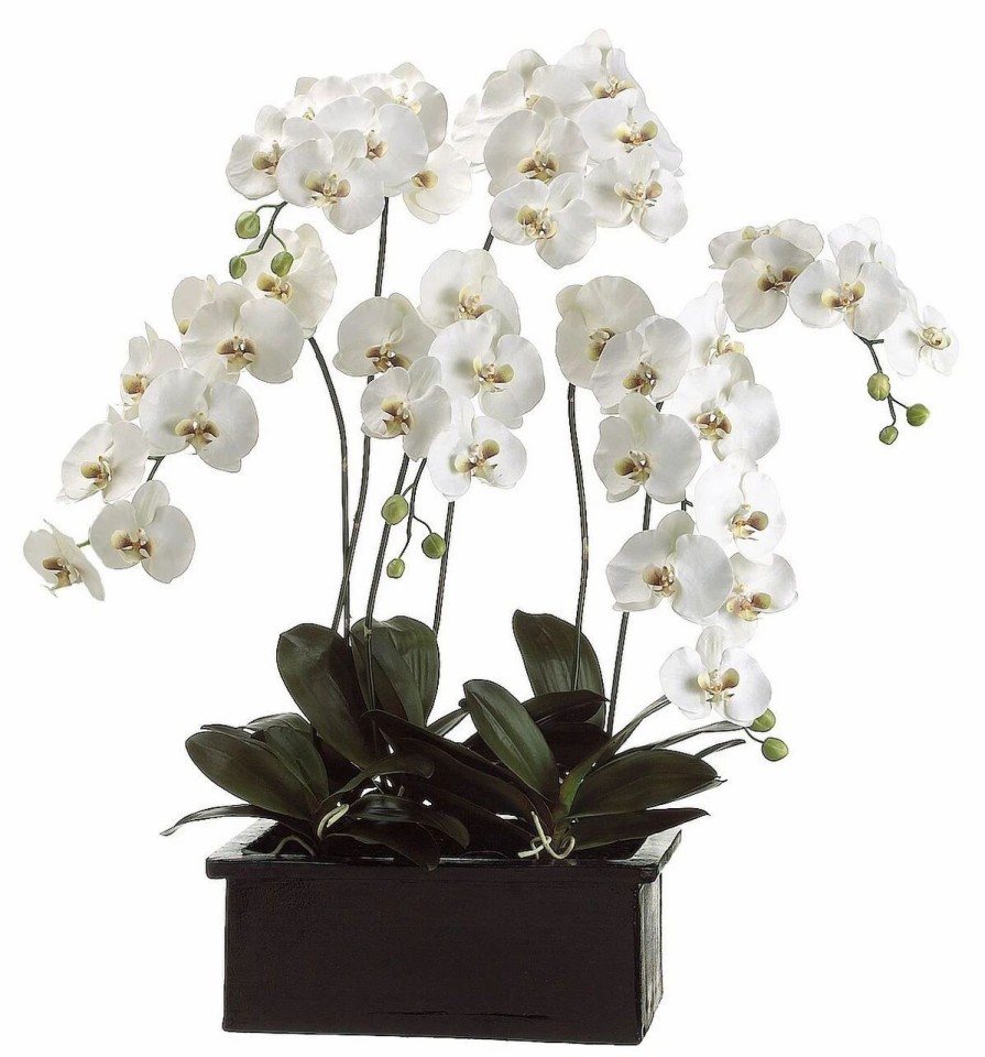 Artificial Florals & Plants * | 42 Phalaenopsis Orchid Planter In Terra Cotta Pot White Green