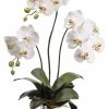 Artificial Florals & Plants * | 31 Phalaenopsis Orchid Plant In Ceramic Pot White