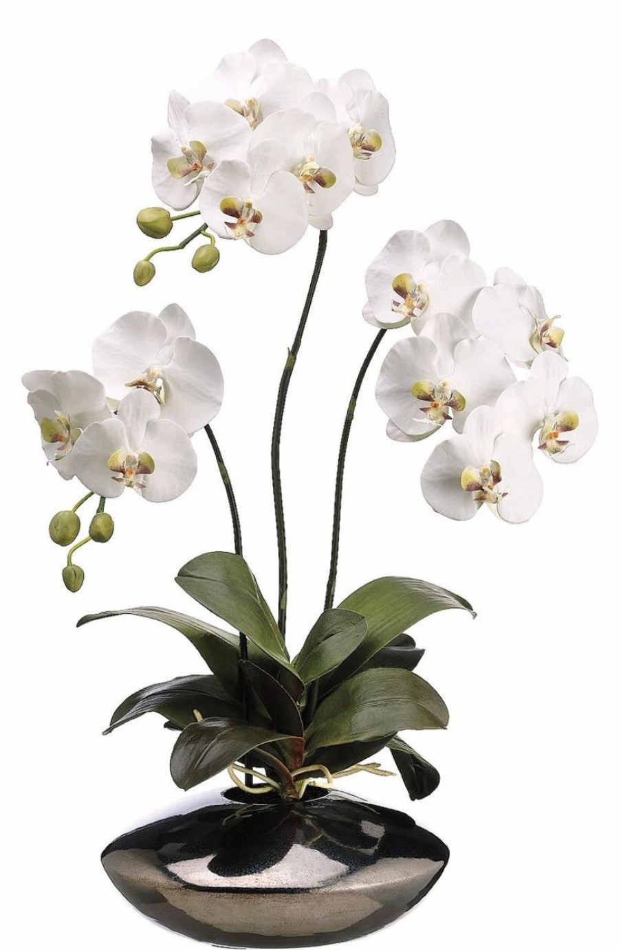 Artificial Florals & Plants * | 31 Phalaenopsis Orchid Plant In Ceramic Pot White