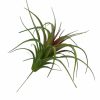 Artificial Florals & Plants * | Artificial Air Plant 5In Set Of Three Green Red