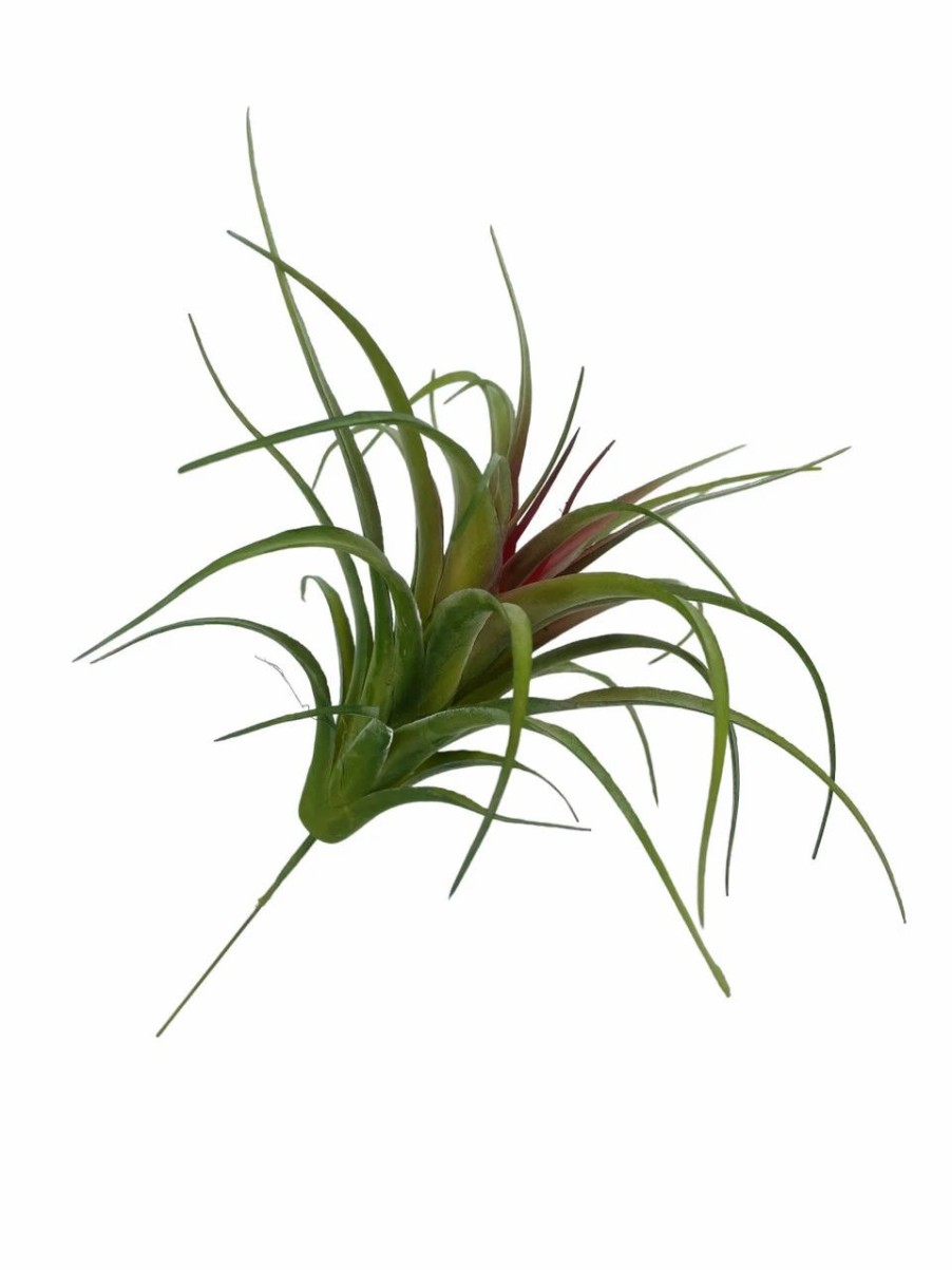 Artificial Florals & Plants * | Artificial Air Plant 5In Set Of Three Green Red