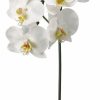 Artificial Florals & Plants * | 37.5 Phalaenopsis Spray White Box Of 6