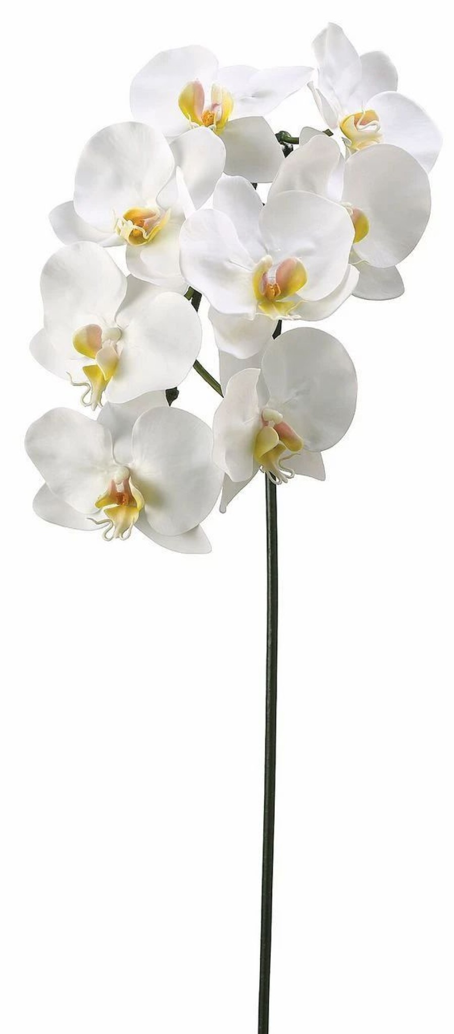 Artificial Florals & Plants * | 37.5 Phalaenopsis Spray White Box Of 6