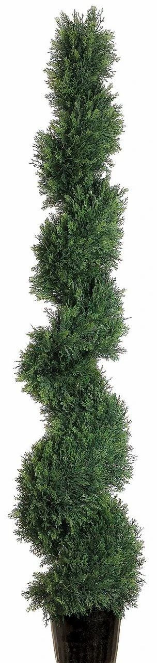 Artificial Florals & Plants * | 5Ft Spiral Cedar Topiary In Plastic Pot