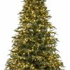 Seasonal * | 7.5 Forevertree Carolina Fraser Fir