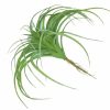 Artificial Florals & Plants * | Tillandsia Soft Touch 11 Green Set Of 3