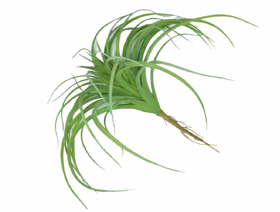 Artificial Florals & Plants * | Tillandsia Soft Touch 11 Green Set Of 3