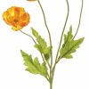 Artificial Florals & Plants * | 23.6 Poppy Spray Orange Box Of 12