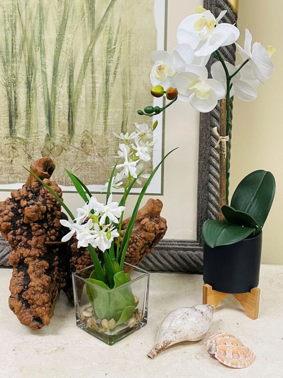 Artificial Florals & Plants * | Phalaenopsis Orchid Pot 20