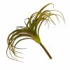 Artificial Florals & Plants * | Artificial Air Plant 10In Set Of Three