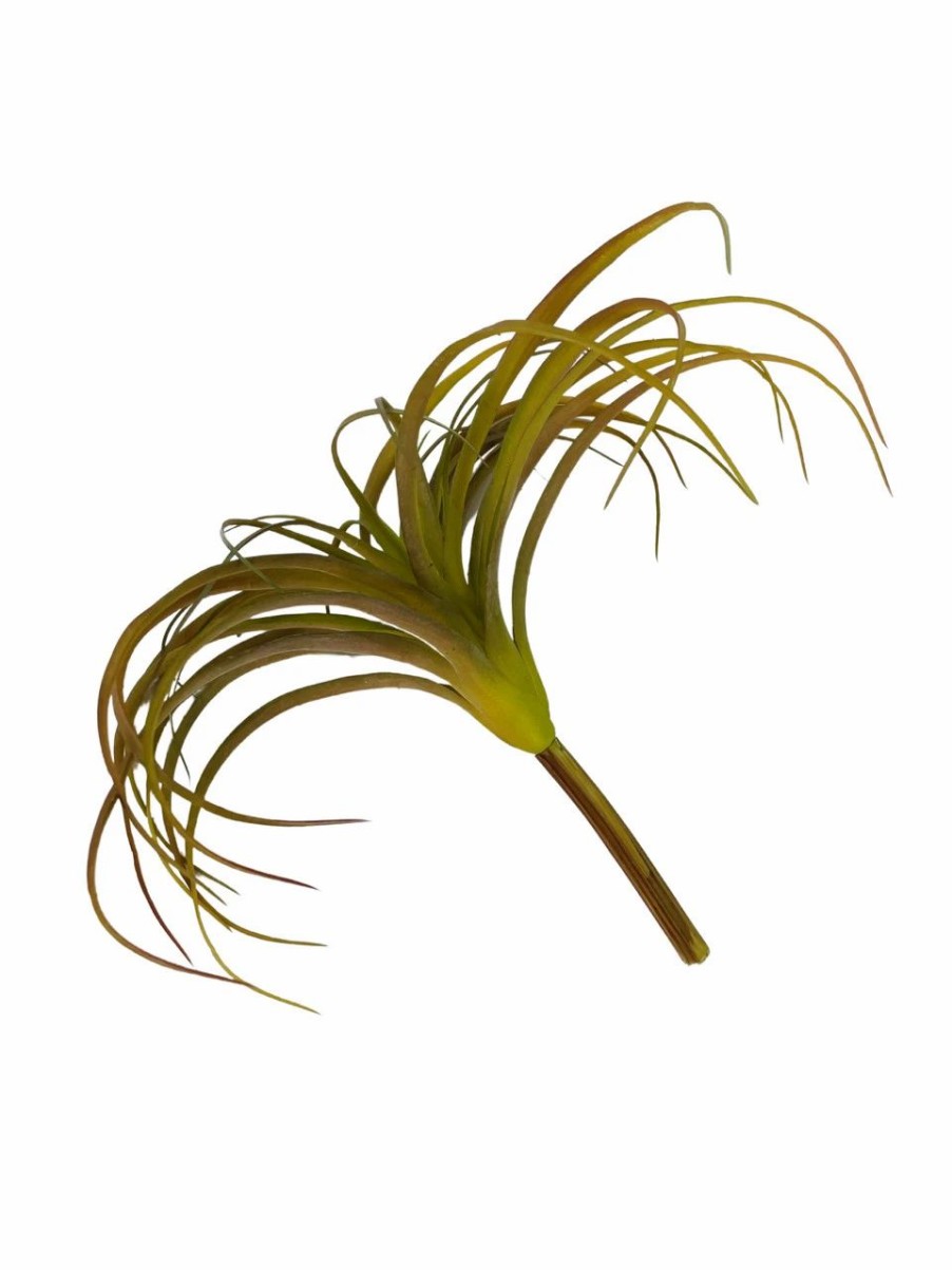 Artificial Florals & Plants * | Artificial Air Plant 10In Set Of Three