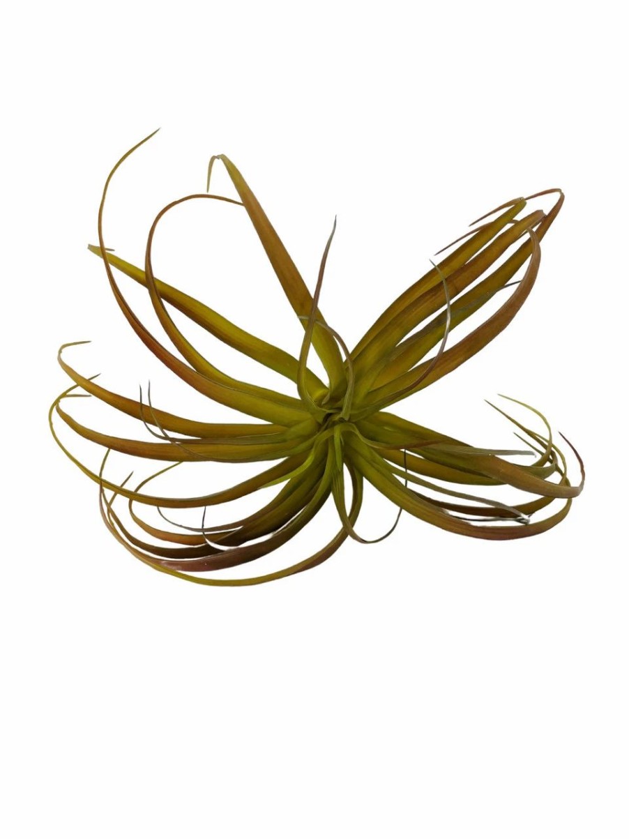 Artificial Florals & Plants * | Artificial Air Plant 10In Set Of Three