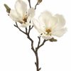 Artificial Florals & Plants * | 19 Magnolia Spray Cream Box Of 12