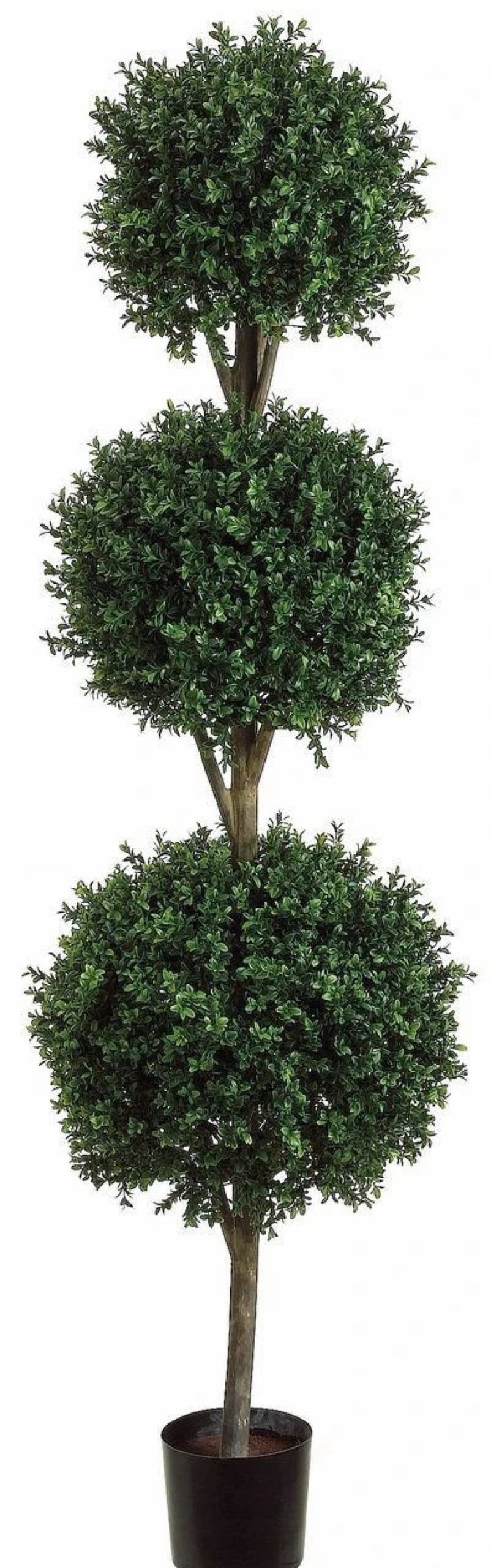 Artificial Florals & Plants * | 6Ft Triple Ball Shape Boxwood Topiary In Plastic Pot