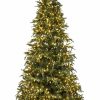 Seasonal * | 12 Forevertree Slim Carolina Fraser Fir