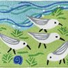 Doormats * | The Sandpiper Gang Jellybean Rug 20 X 30