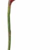 Artificial Florals & Plants * | 37 Bird Of Paradise Spray Red Orange Box Of 6