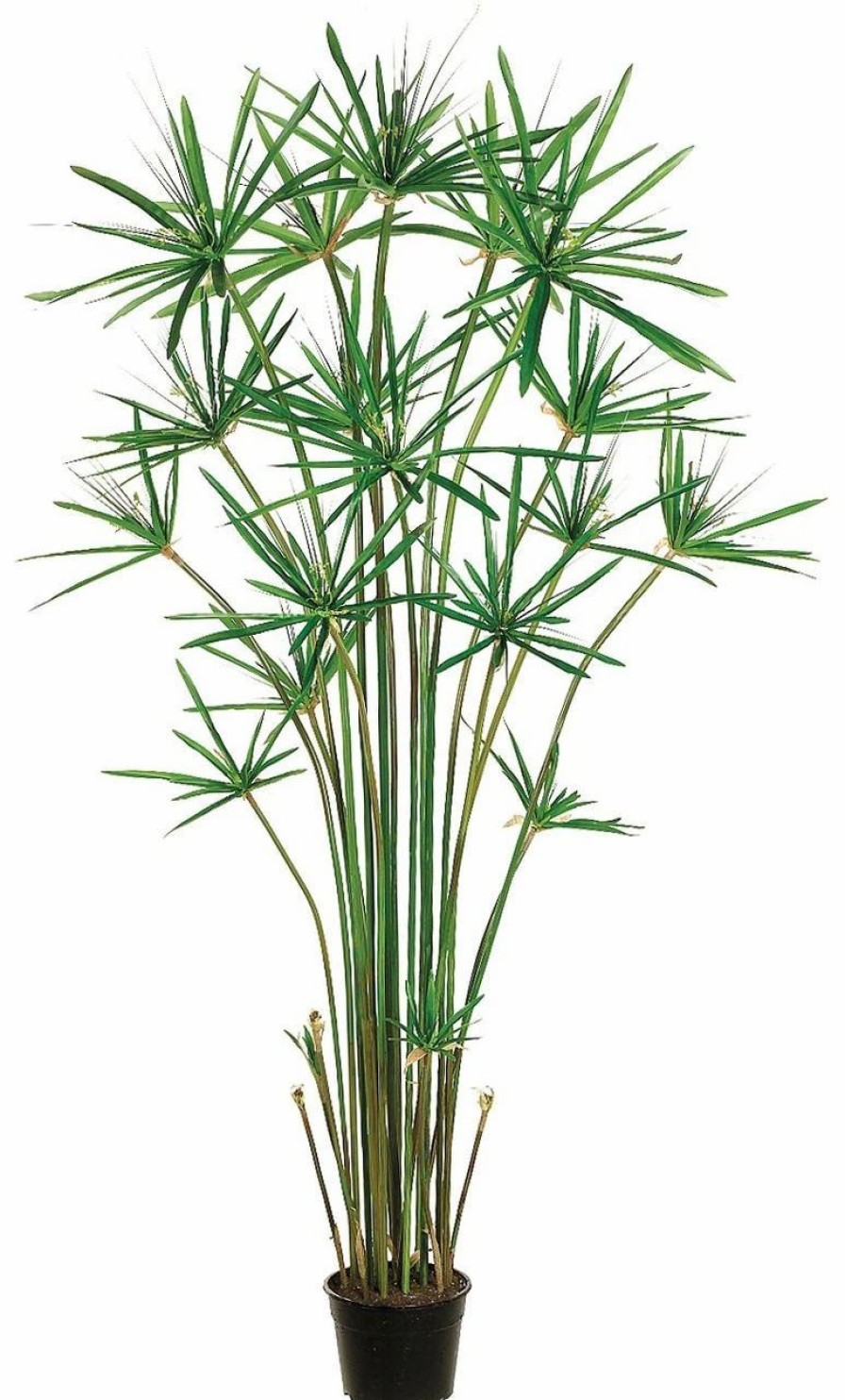 Artificial Florals & Plants * | 5Ft Cypress Grass In Plastic Pot