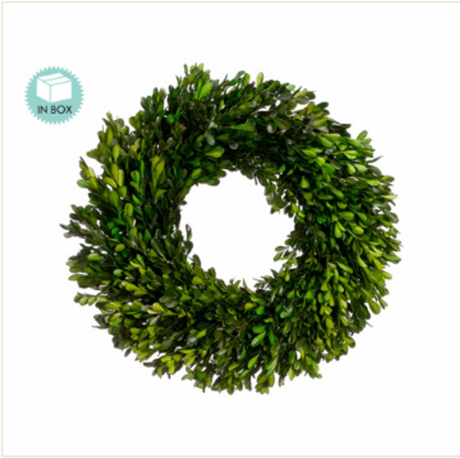 Artificial Florals & Plants * | 17 Preserved Boxwood Wreath Pair