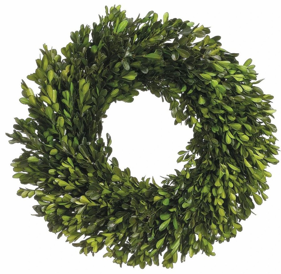 Artificial Florals & Plants * | 17 Preserved Boxwood Wreath Pair