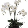 Artificial Florals & Plants * | 37 Phalaenopsis Orchid Plant In Polyresin Container White Green