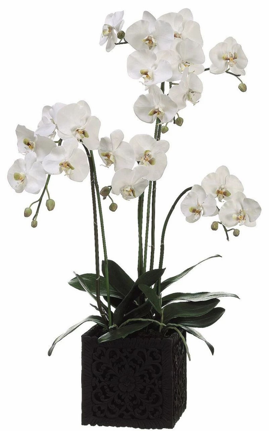 Artificial Florals & Plants * | 37 Phalaenopsis Orchid Plant In Polyresin Container White Green