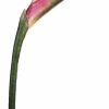 Artificial Florals & Plants * | 37 Bird Of Paradise Spray Natural Box Of 6