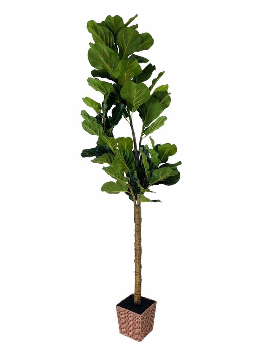 Artificial Florals & Plants * | Potted Artificial Fiddle Leaf Tree 6Ft