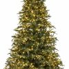 Seasonal * | 9 Forevertree Carolina Fraser Fir