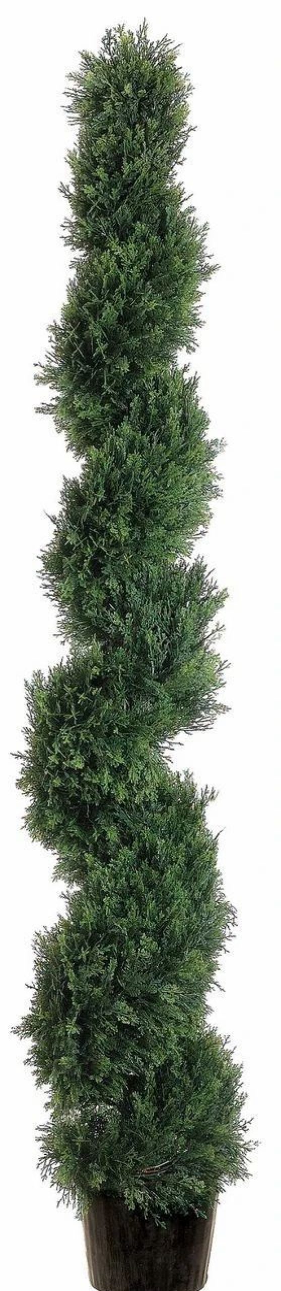 Artificial Florals & Plants * | 6Ft Spiral Cedar Topiary In Plastic Pot