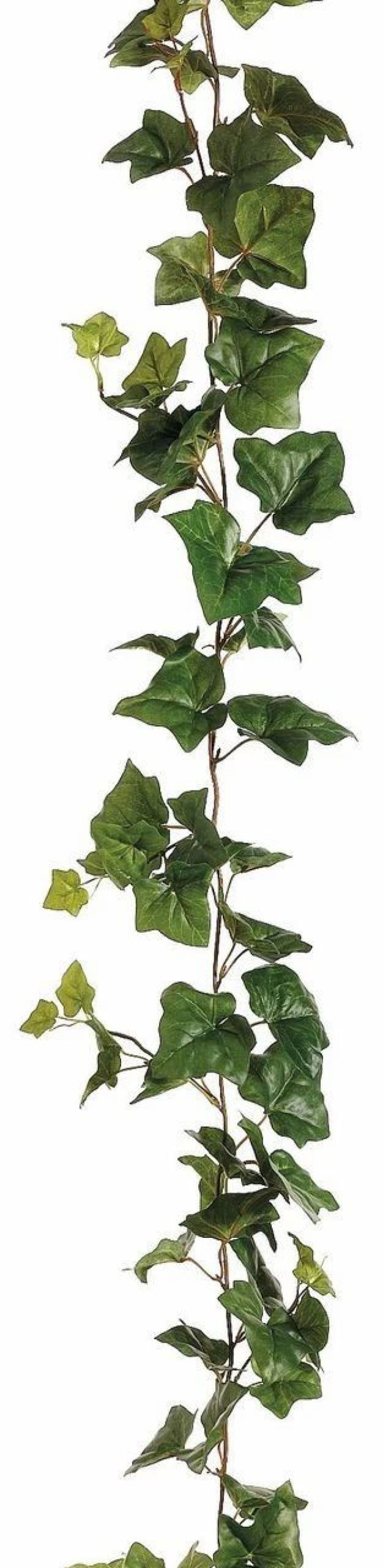 Artificial Florals & Plants * | 6Ft Ivy Garland Green Box Of 6