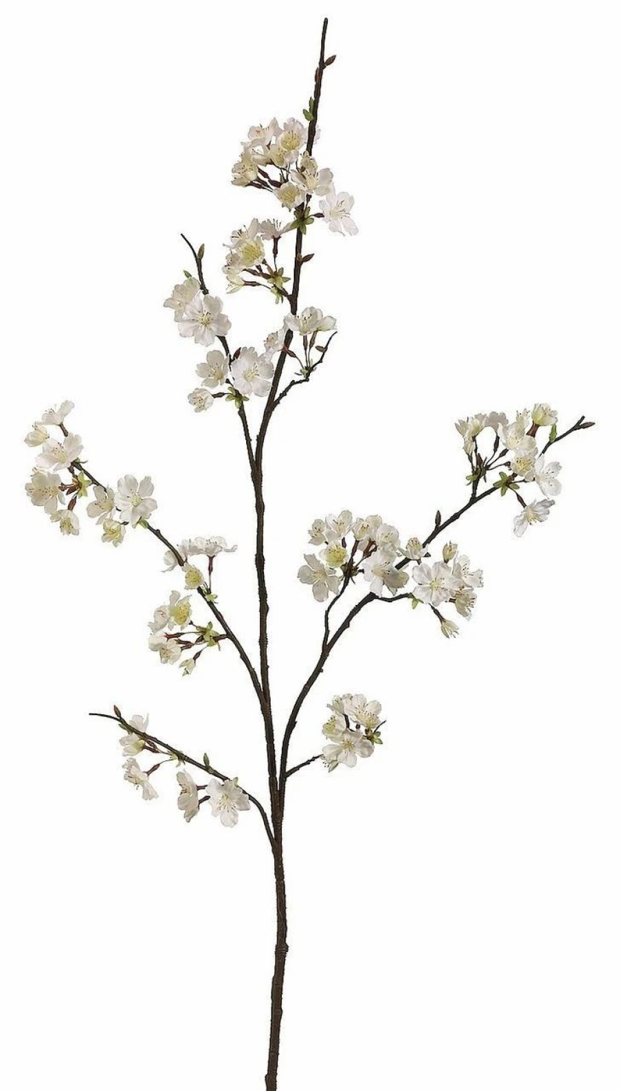 Artificial Florals & Plants * | 42 Cherry Blossom Spray Cream Box Of 12