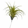 Artificial Florals & Plants * | Artificial Air Plant 5In Set Of Three Grey Green