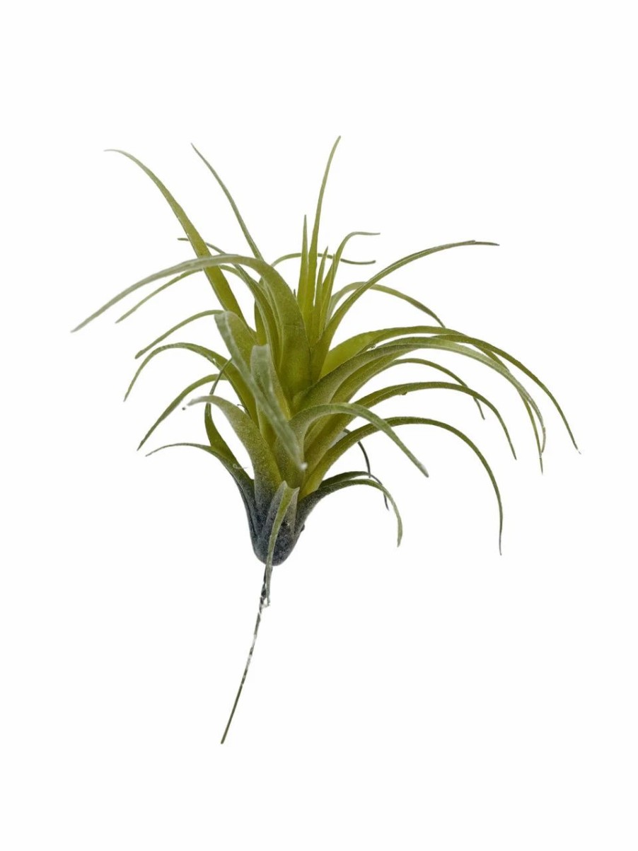 Artificial Florals & Plants * | Artificial Air Plant 5In Set Of Three Grey Green