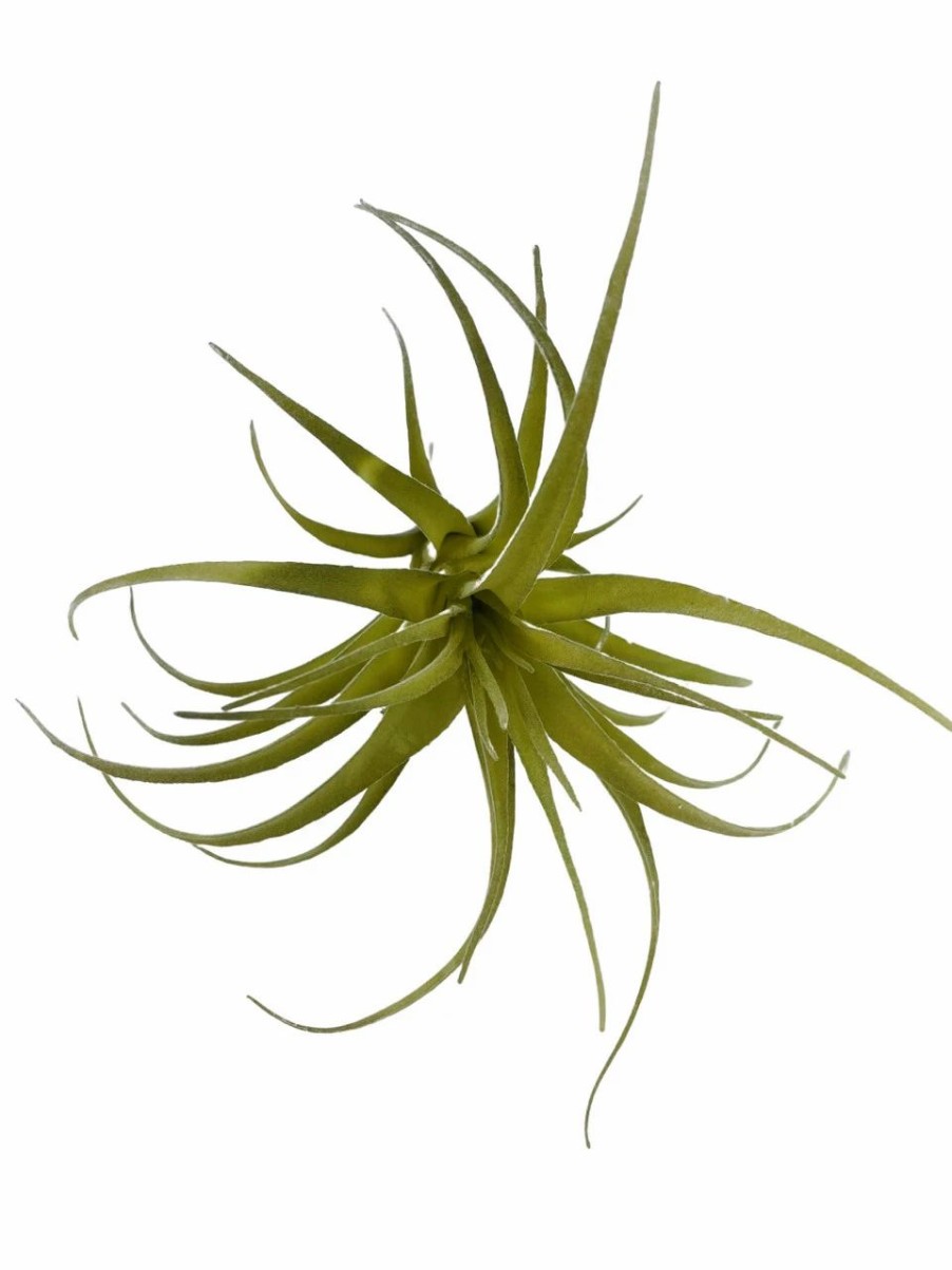 Artificial Florals & Plants * | Artificial Air Plant 5In Set Of Three Grey Green