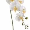 Artificial Florals & Plants * | 40 Phalaenopsis Orchid Spray Cream Yellow Box Of 12